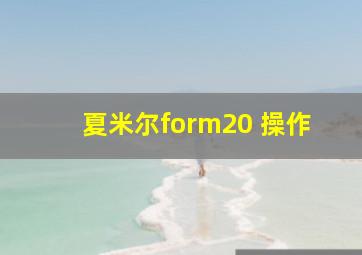 夏米尔form20 操作